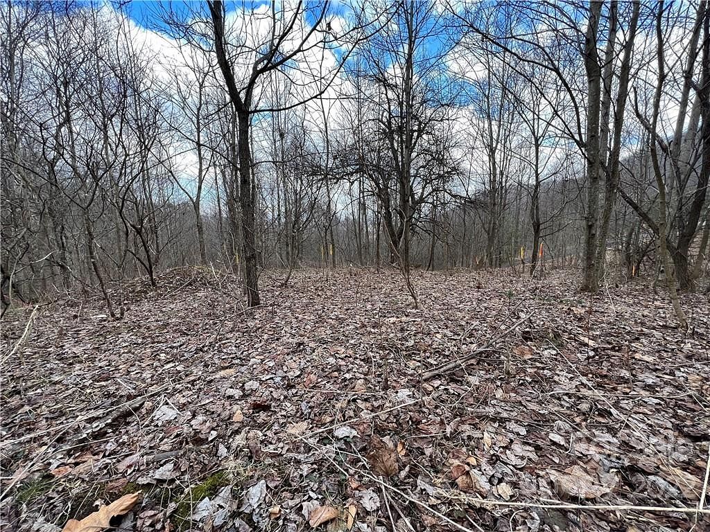 0.77 Acres of Land for Sale in Leicester, North Carolina