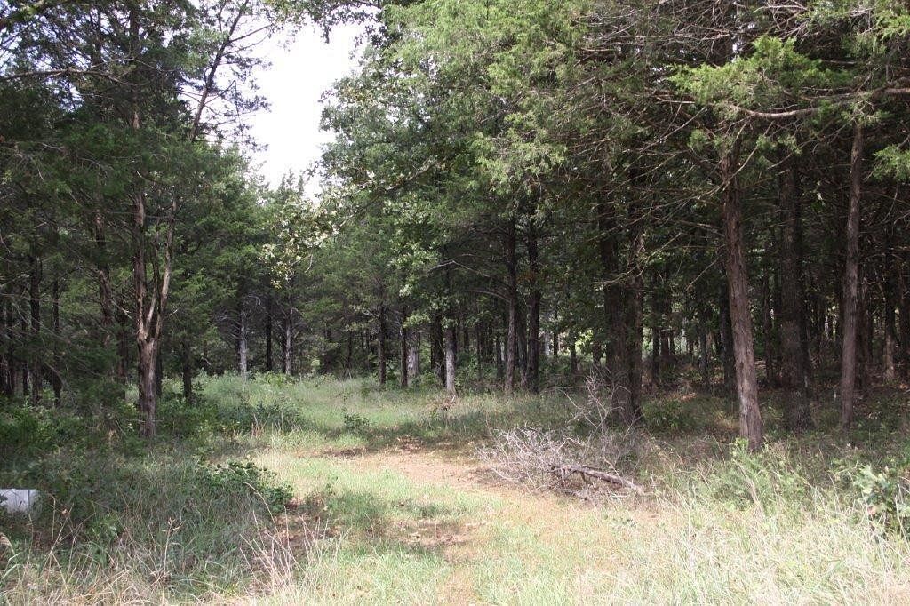40 Acres of Land for Sale in Harrison, Arkansas