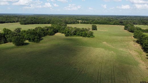 10.8 Acres of Land for Sale in Emory, Texas