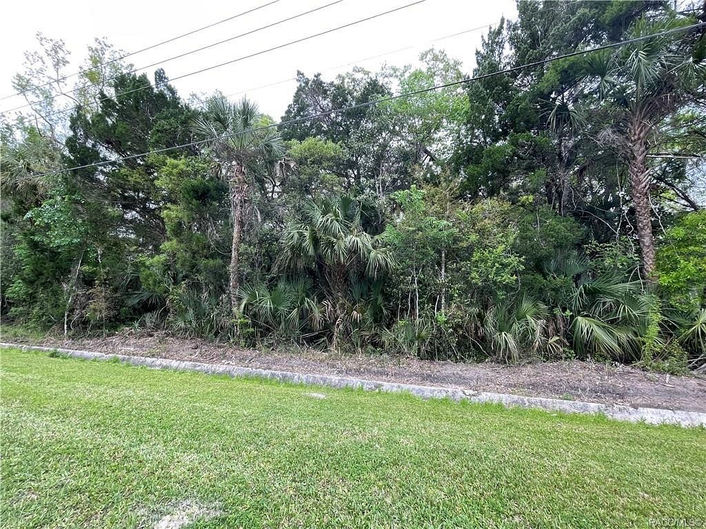 1.2 Acres of Commercial Land for Sale in Crystal River, Florida