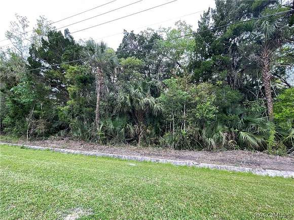 1.21 Acres of Commercial Land for Sale in Crystal River, Florida