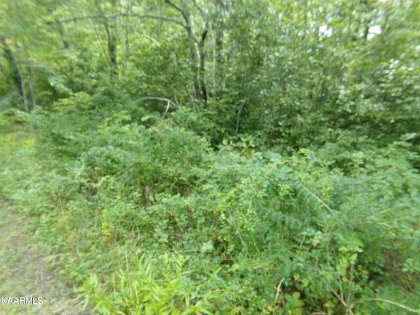 0.27 Acres of Land for Sale in Crossville, Tennessee