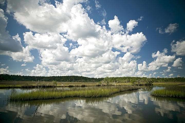 0.74 Acres of Residential Land for Sale in Ravenel, South Carolina