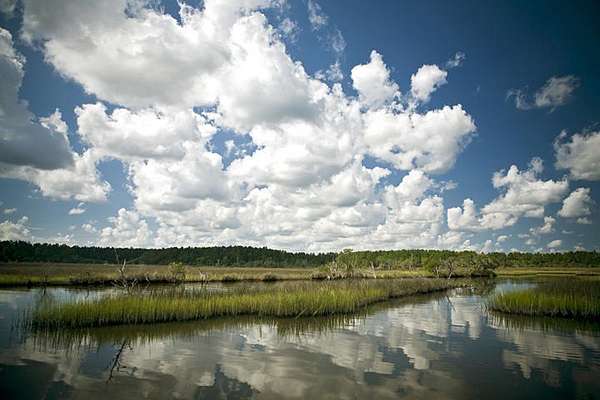 0.74 Acres of Residential Land for Sale in Ravenel, South Carolina