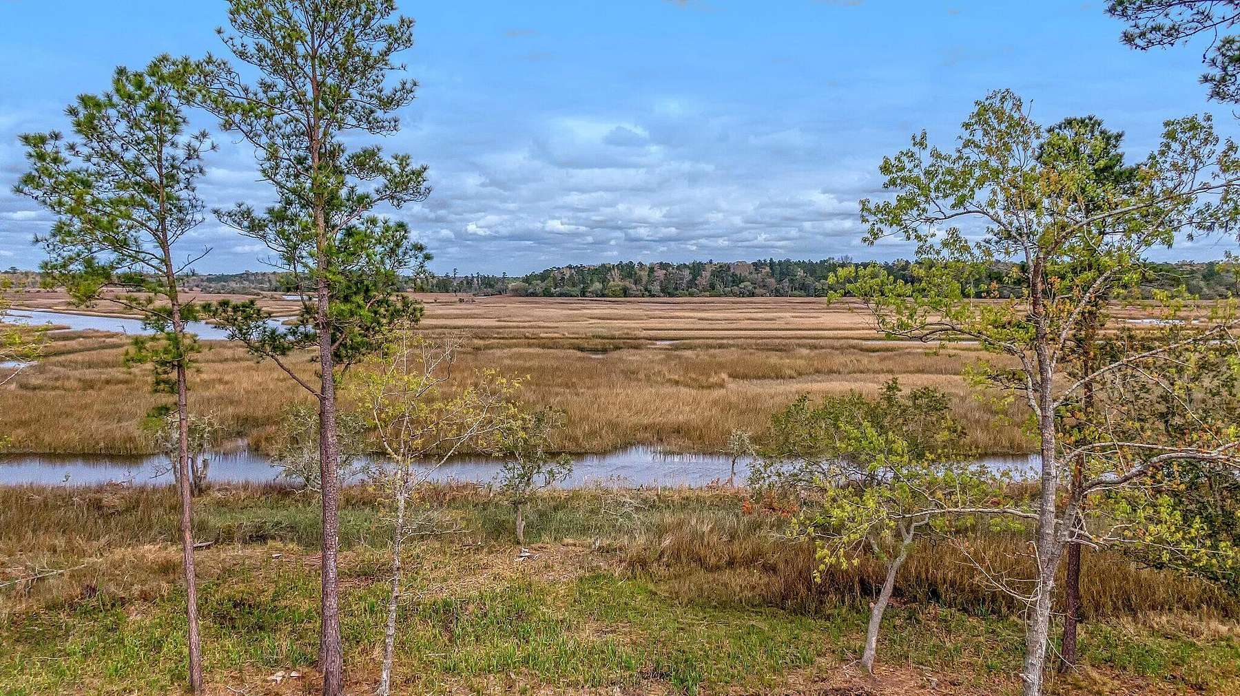 1.9 Acres of Residential Land for Sale in Ravenel, South Carolina