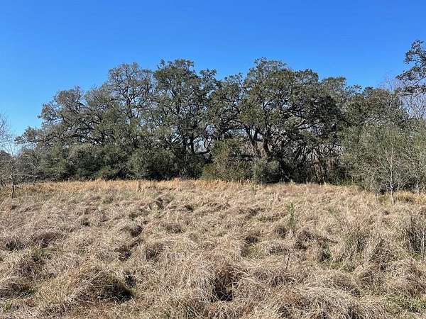 6.36 Acres of Residential Land for Sale in West Columbia, Texas
