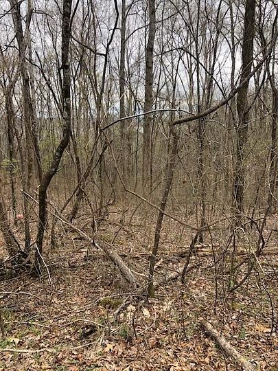 0.44 Acres of Residential Land for Sale in Spring City, Tennessee