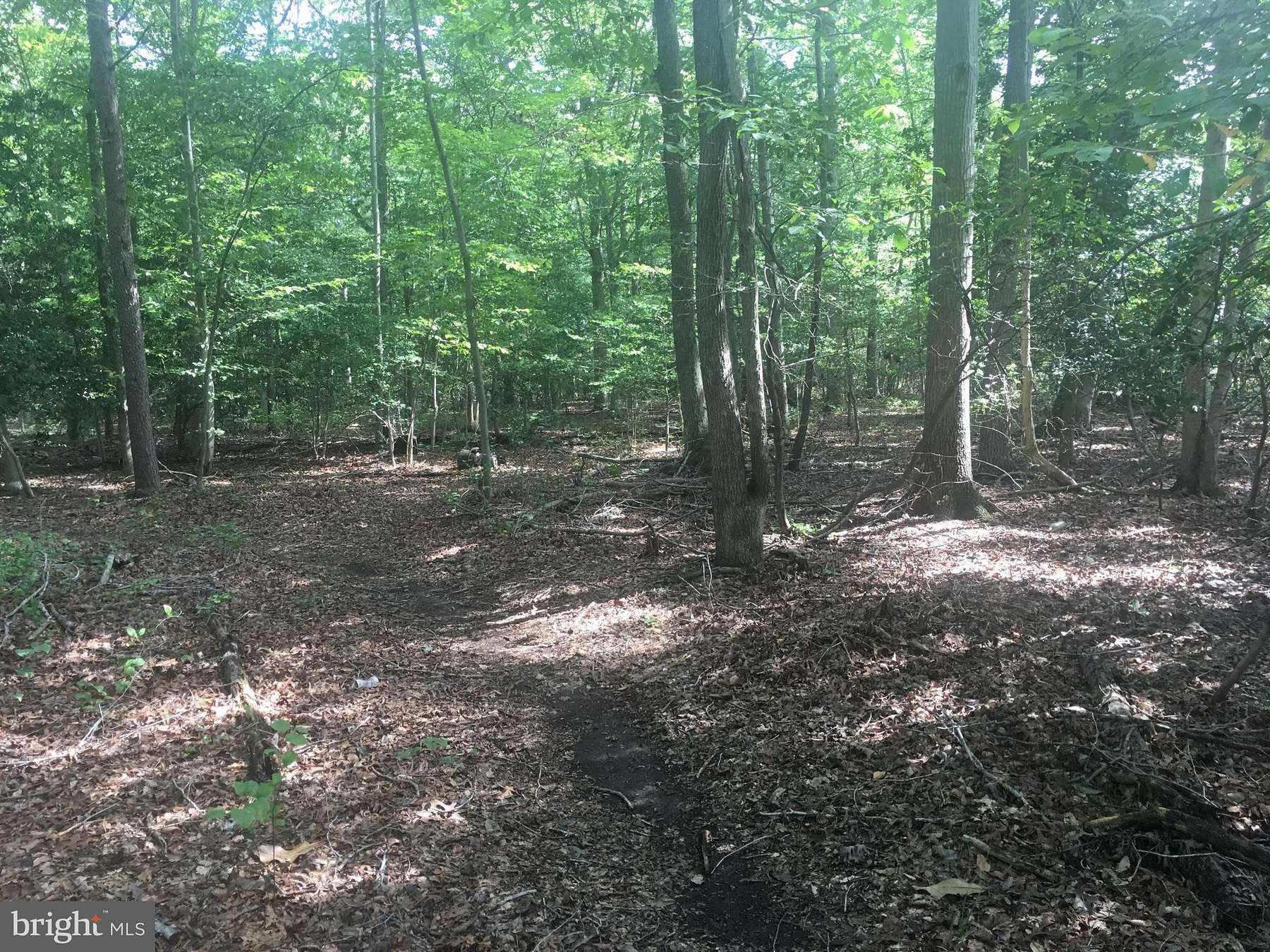 1 Acre of Land for Sale in Indian Head, Maryland