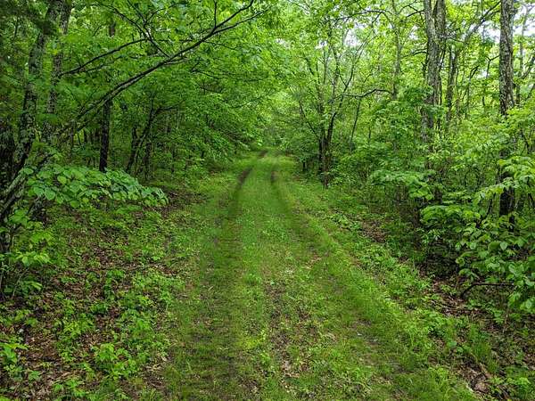 7.86 Acres of Residential Land for Sale in Cape Fair, Missouri