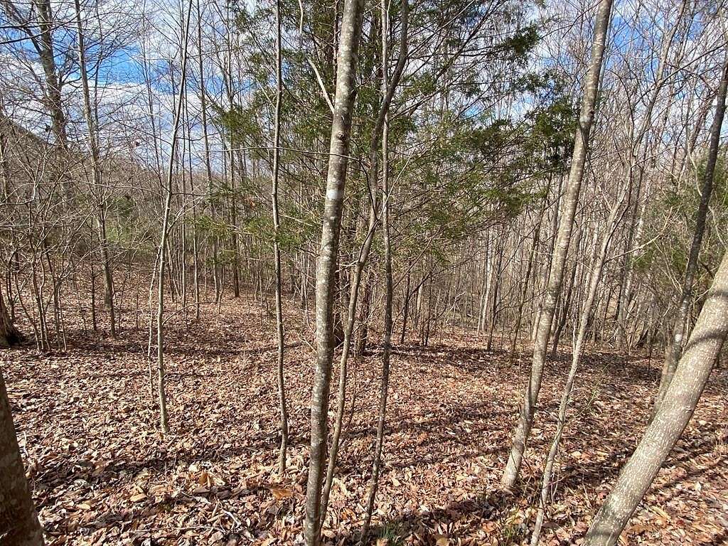 1.77 Acres of Residential Land for Sale in Byrdstown, Tennessee