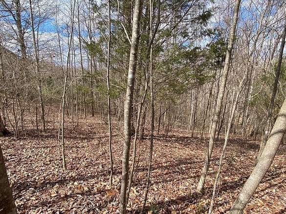 1.8 Acres of Residential Land for Sale in Byrdstown, Tennessee