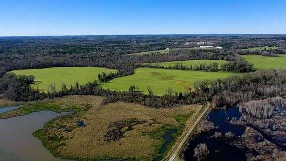 915 Acres of Recreational Land for Sale in Eufaula, Alabama