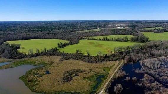 915 Acres of Land for Sale in Eufaula, Alabama