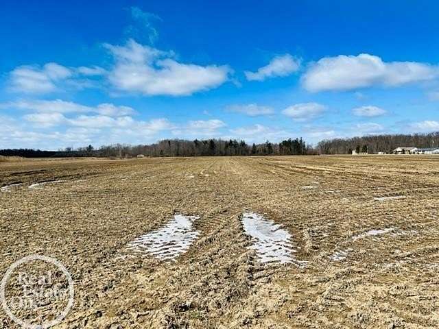 20.8 Acres of Agricultural & Residential Land for Sale in Clyde Township, Michigan