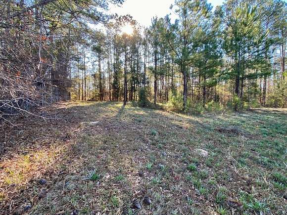 5.5 Acres of Commercial Land for Sale in Midland, Georgia