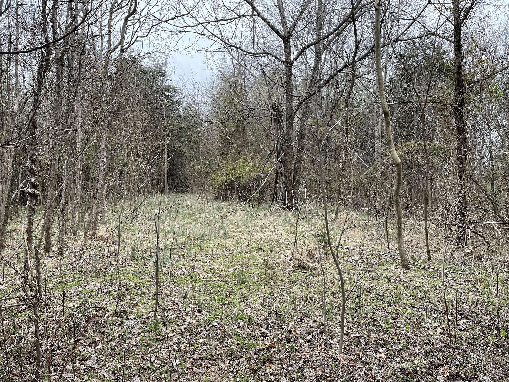 10 Acres of Residential Land for Sale in Jonesborough, Tennessee
