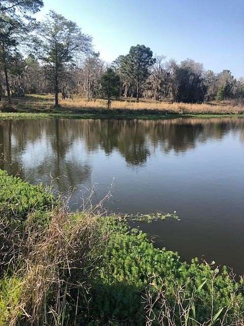 30 Acres of Land for Sale in Hazlehurst, Georgia