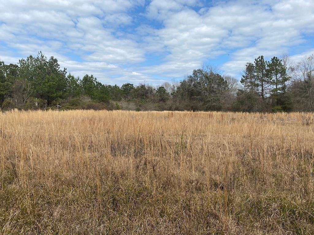 2.5 Acres of Commercial Land for Sale in Picayune, Mississippi
