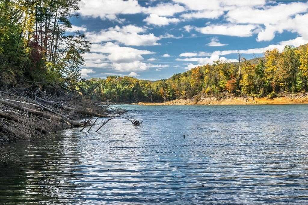 100 Acres of Recreational Land for Sale in Butler, Tennessee