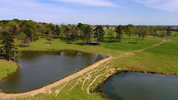 425 Acres of Land for Sale in Clayton, Alabama