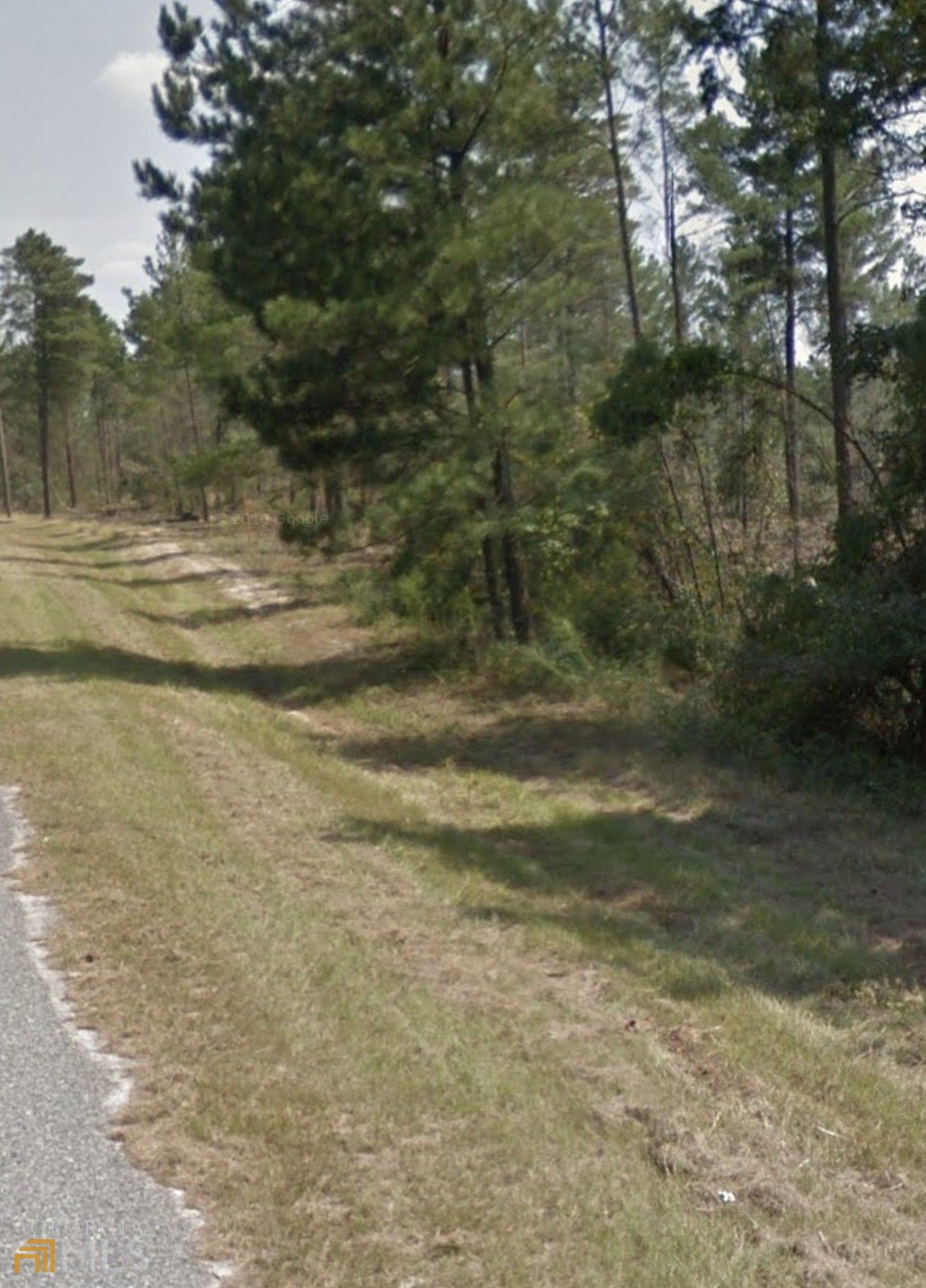 5.7 Acres of Residential Land for Sale in Roberta, LandSearch