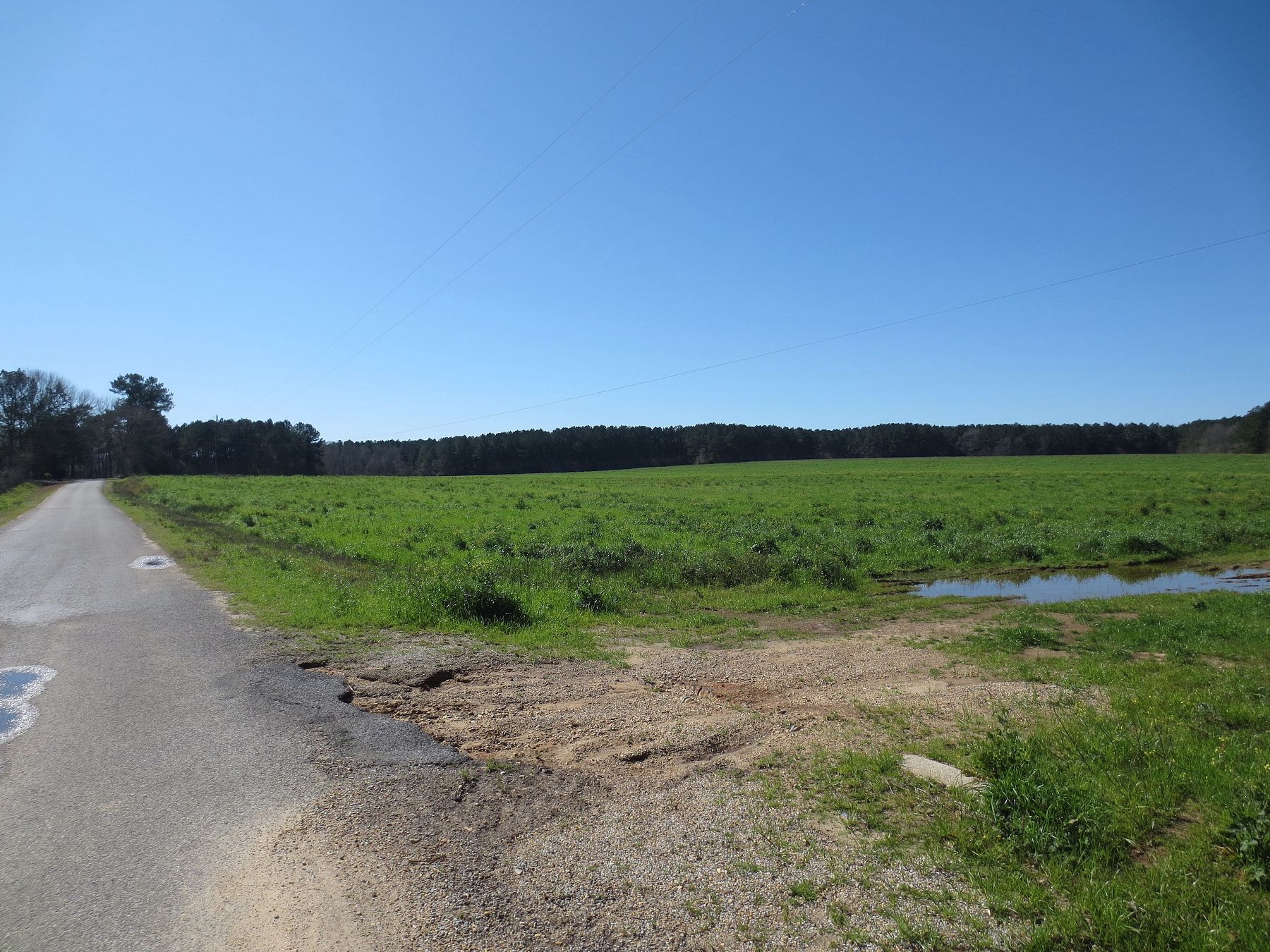 26.5 Acres of Recreational Land for Sale in Sumrall, Mississippi