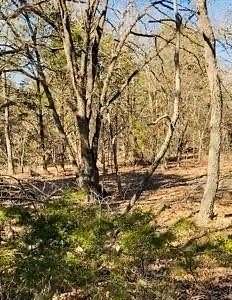 30 Acres of Land for Sale in Terrell, Texas