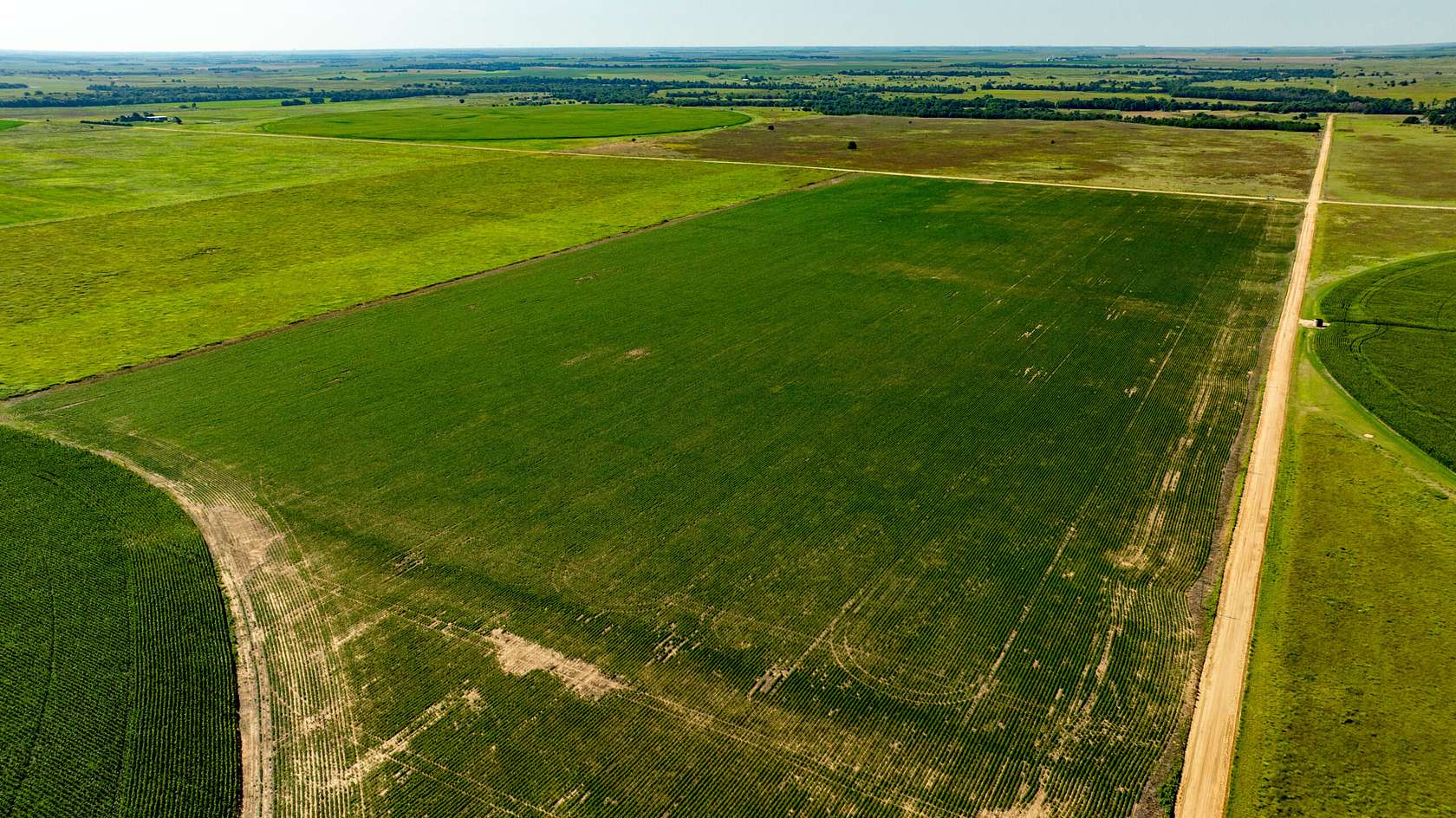 79.3 Acres of Recreational Land & Farm for Sale in Lewis, Kansas