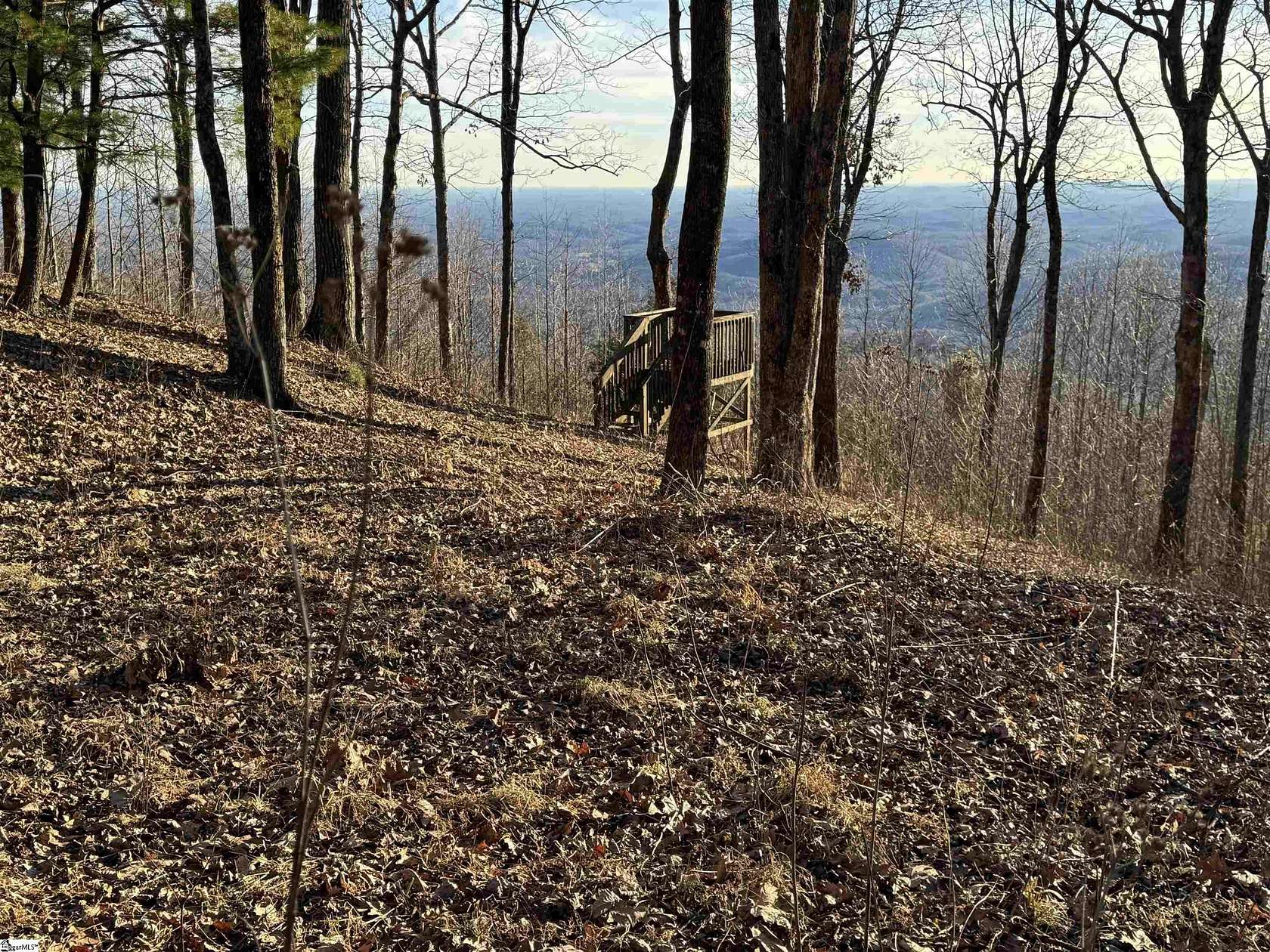 1.37 Acres of Residential Land for Sale in Zirconia, North Carolina