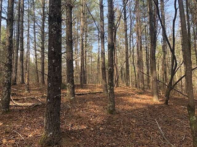 2.23 Acres of Residential Land for Sale in Sunset, South Carolina