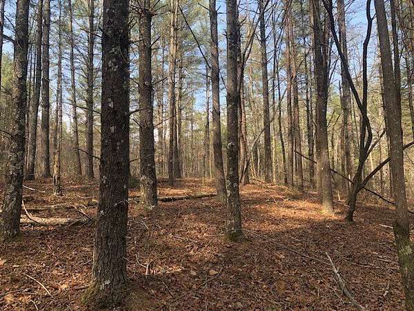 2.23 Acres of Residential Land for Sale in Sunset, South Carolina