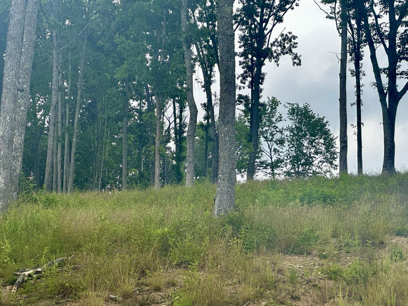 0.53 Acres of Residential Land for Sale in Corbin, Kentucky