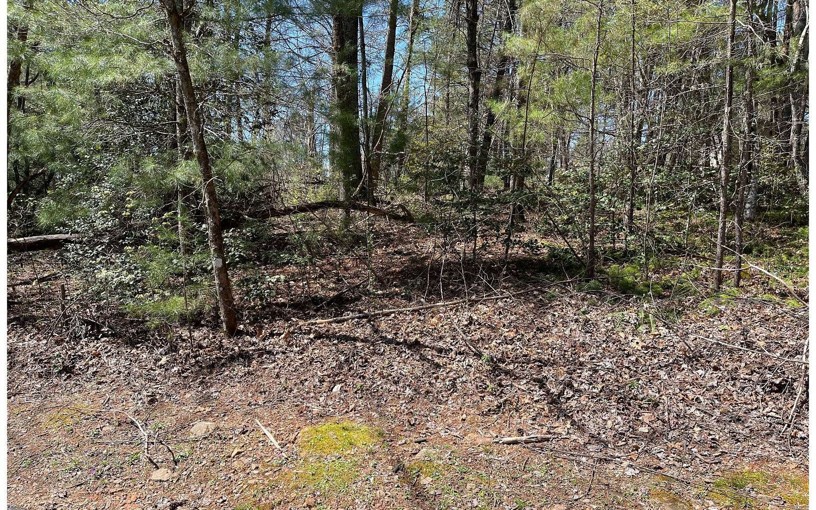 0.36 Acres of Land for Sale in Hayesville, North Carolina