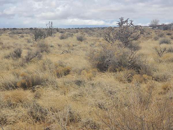 0.5 Acres of Residential Land for Sale in Rio Rancho, New Mexico