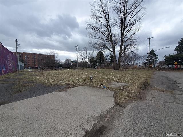 0.03 Acres of Commercial Land for Sale in Detroit, Michigan