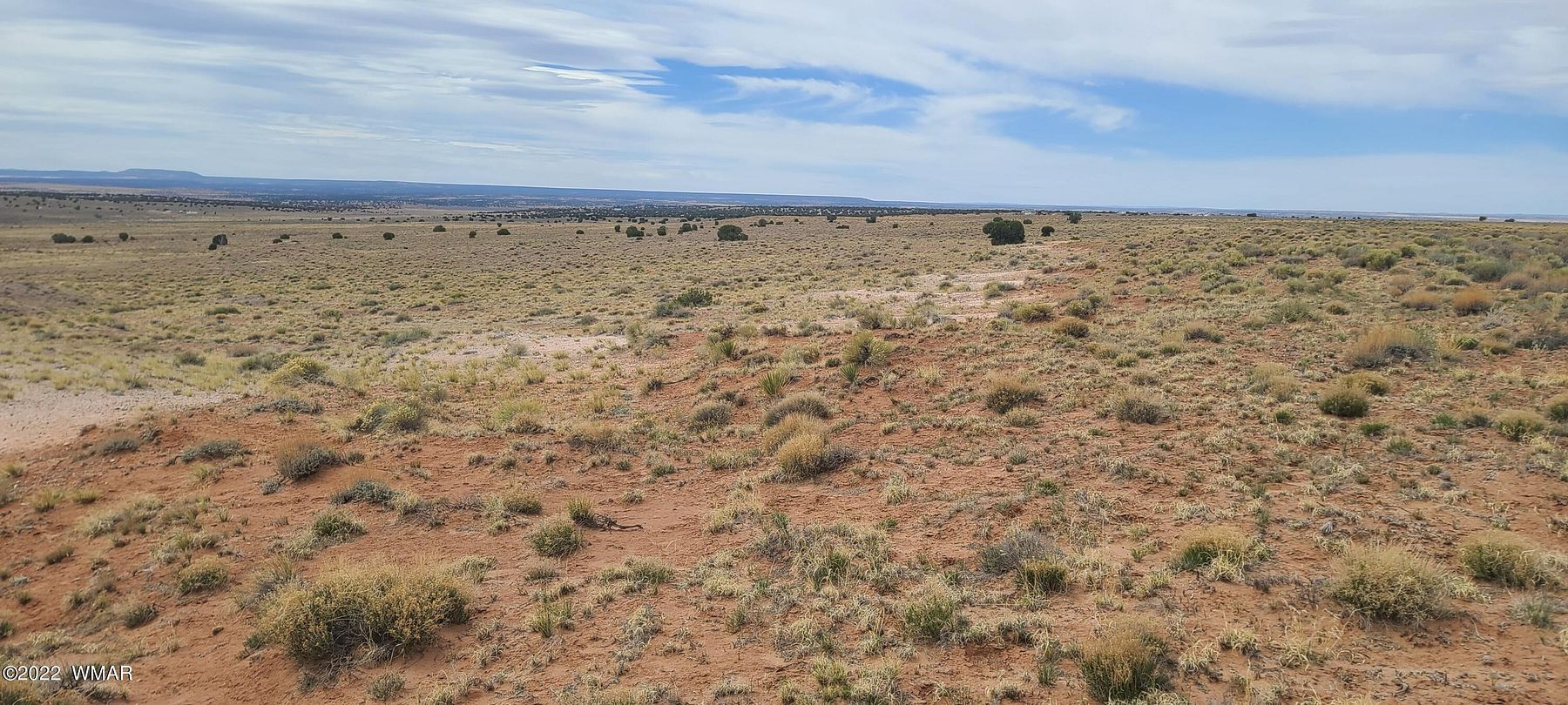 36.3 Acres of Land for Sale in Concho, Arizona
