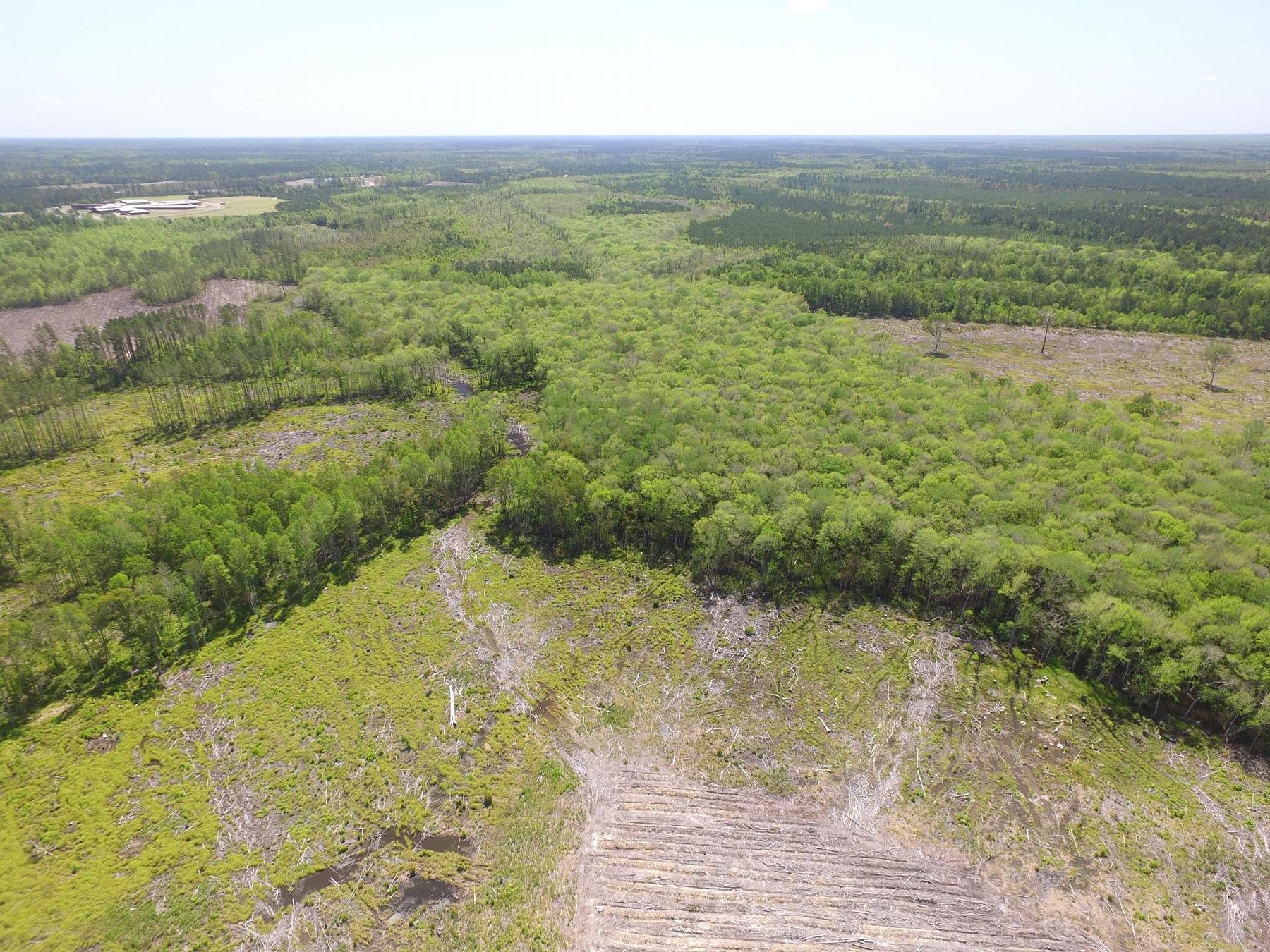 290 Acres of Recreational Land for Sale in Ludowici, LandSearch