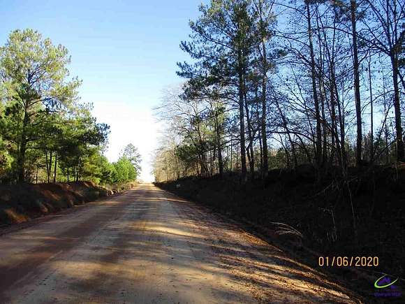17 Acres of Recreational Land for Sale in Hawkinsville, Georgia
