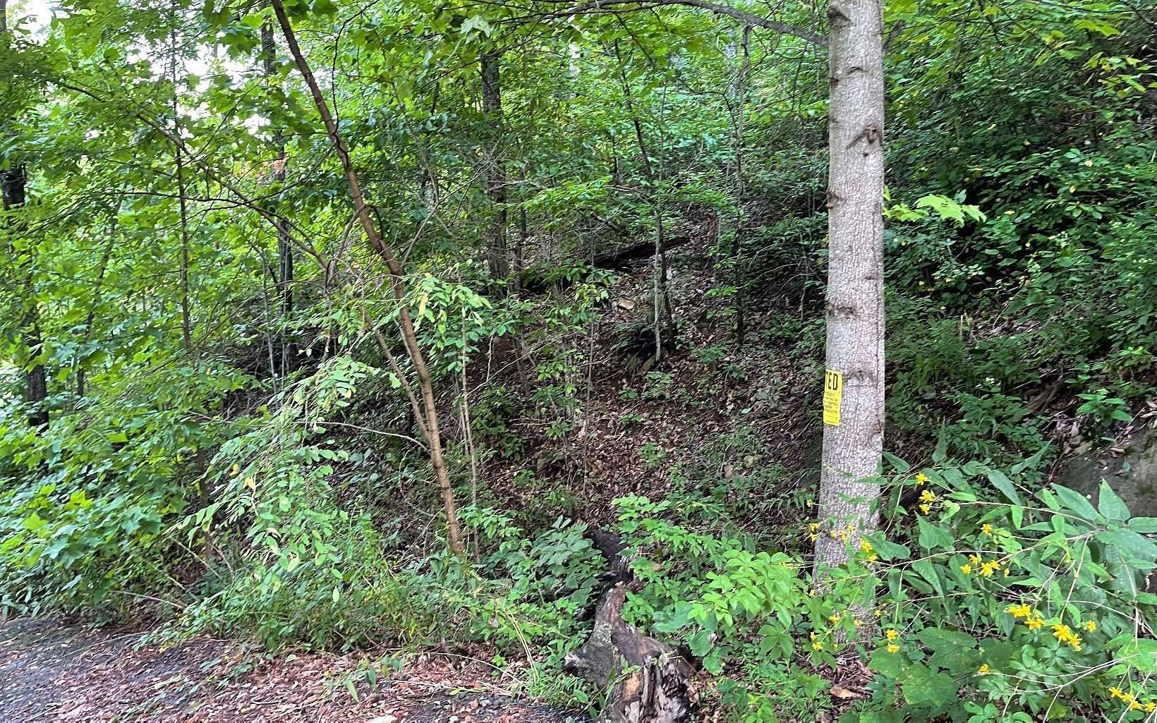 3.6 Acres of Residential Land for Sale in Hiawassee, Georgia