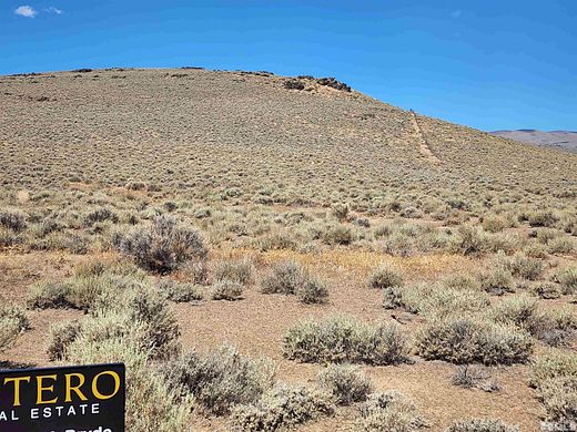 16.5 Acres of Land for Sale in Wellington, Nevada