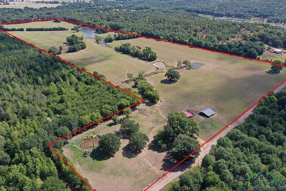 95 Acres of Agricultural Land for Sale in Lindale, Texas