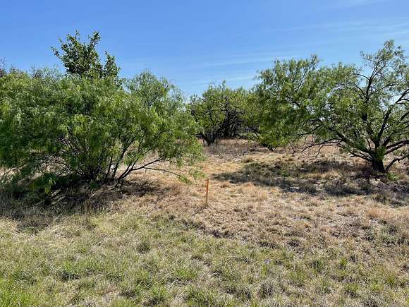 0.18 Acres of Residential Land for Sale in Brownwood, Texas