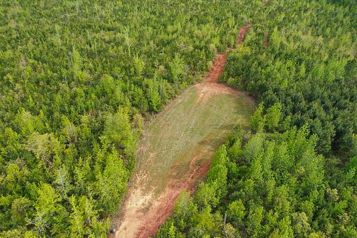163 Acres of Recreational Land for Sale in Plantersville, Alabama