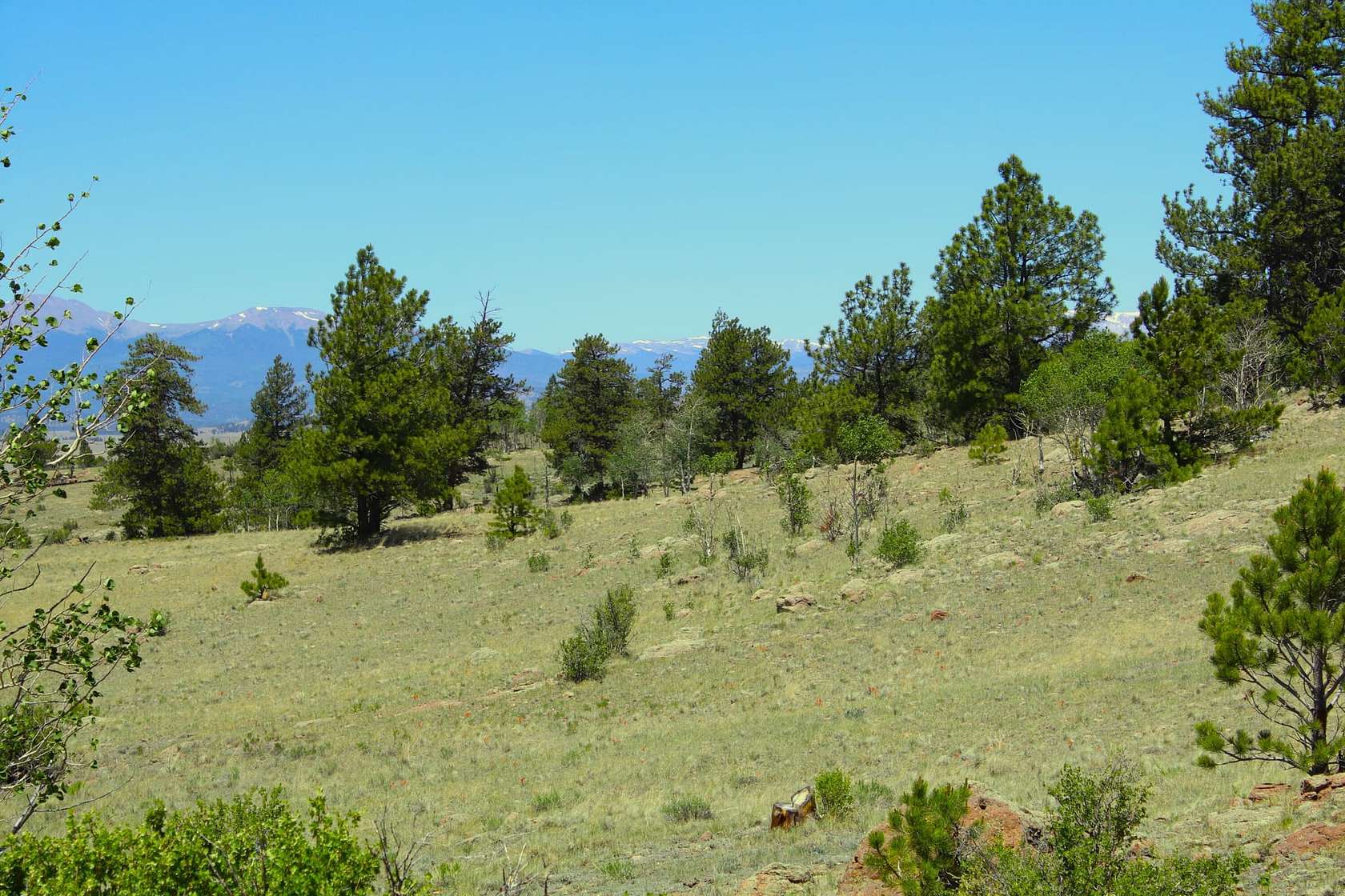 167 Acres of Recreational Land & Farm for Sale in Hartsel, Colorado