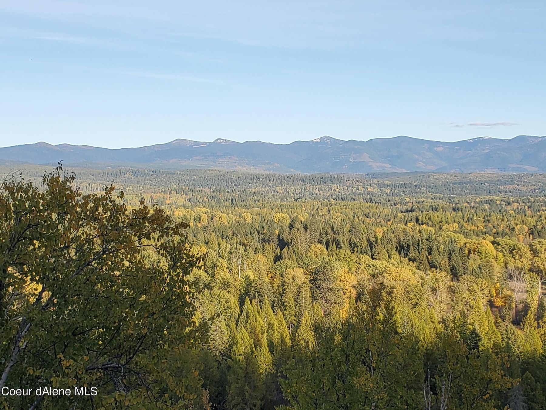 19.64 Acres of Land for Sale in Sandpoint, Idaho