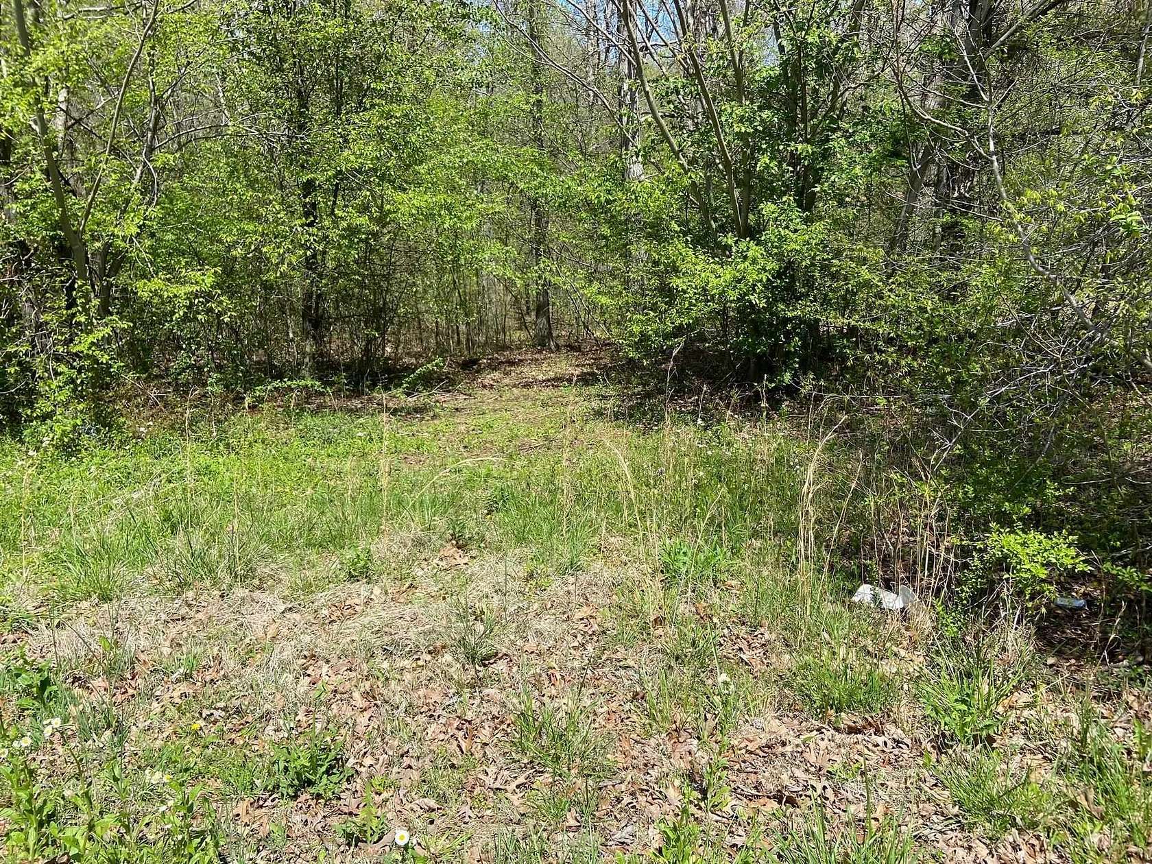 30.16 Acres of Agricultural Land for Sale in Henderson, Tennessee