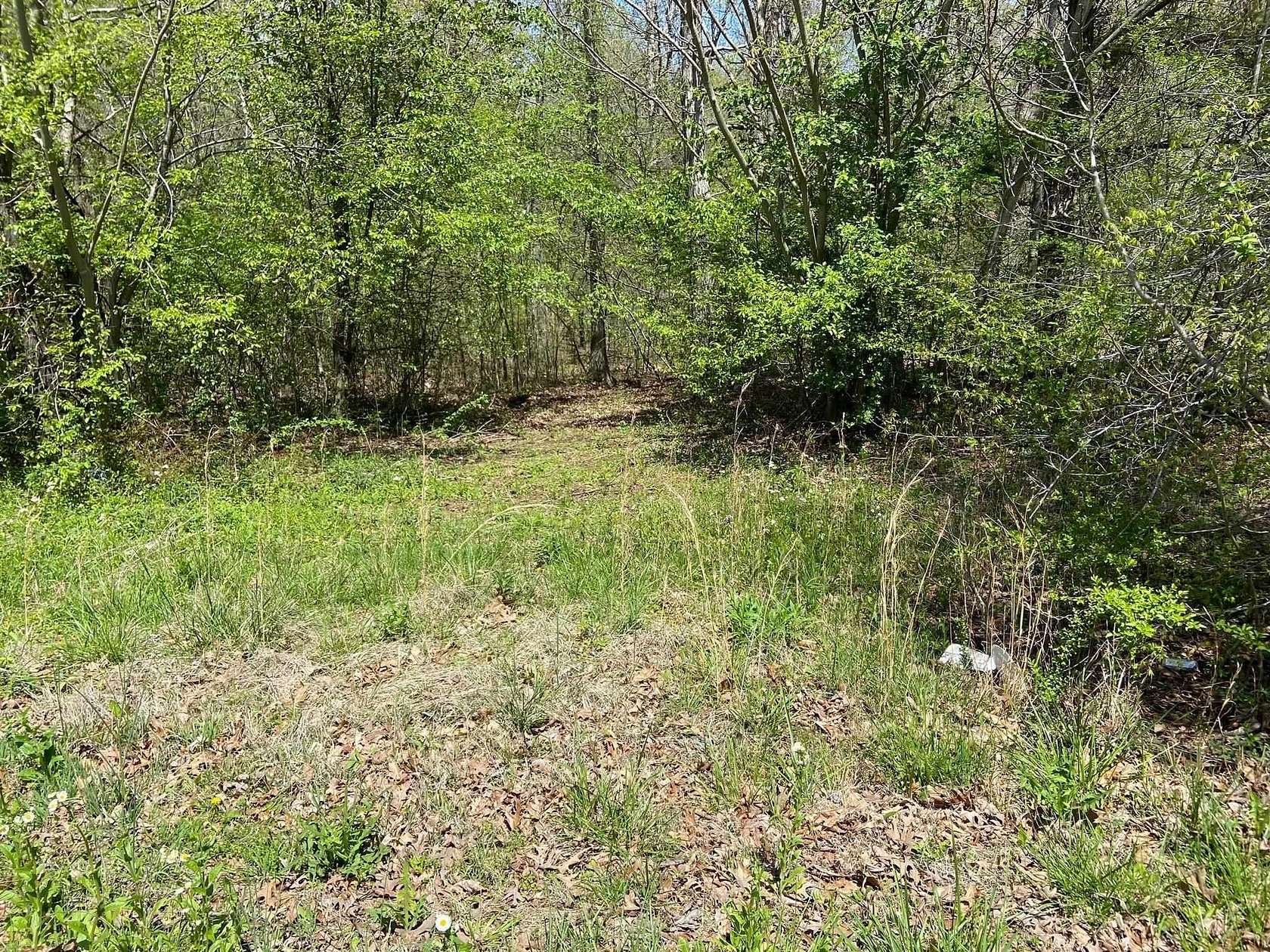 30.2 Acres of Land for Sale in Henderson, Tennessee