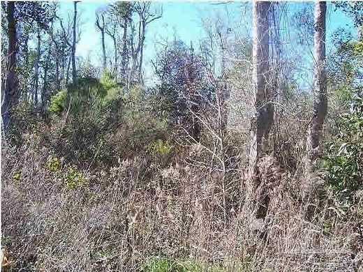 0.31 Acres of Land for Sale in Wewahitchka, Florida