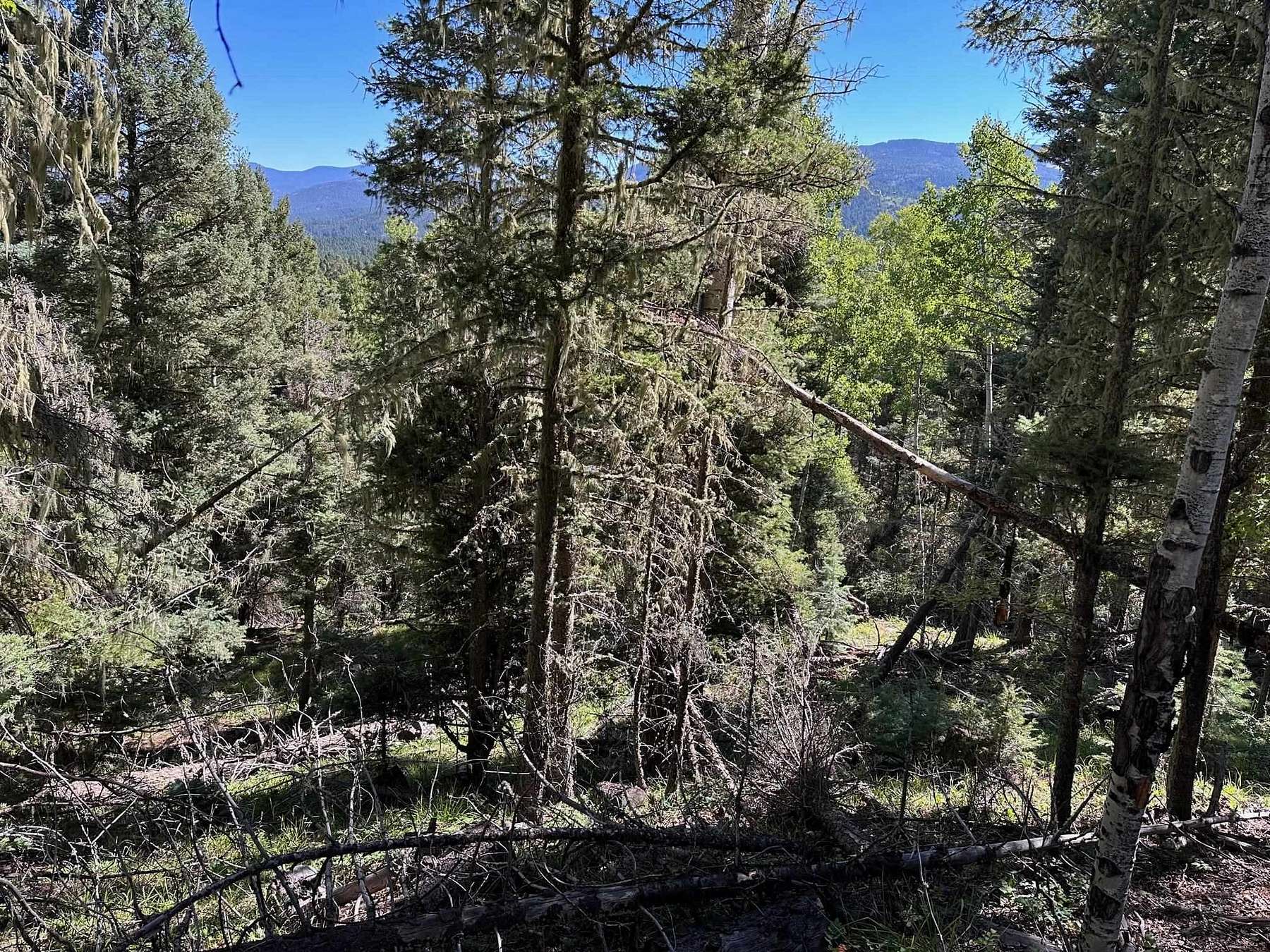 0.59 Acres of Residential Land for Sale in Angel Fire, New Mexico