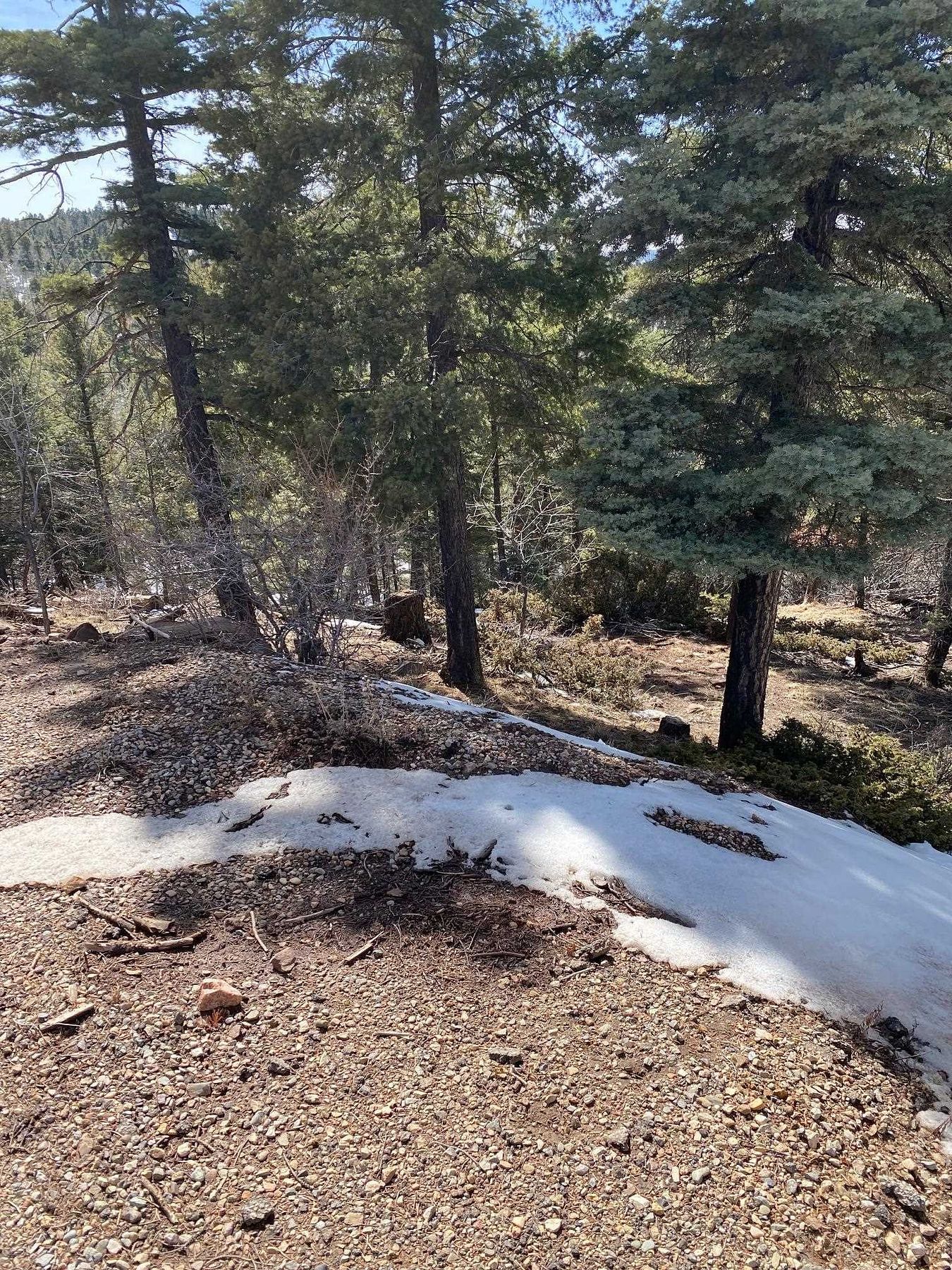 1.66 Acres of Residential Land for Sale in Angel Fire, New Mexico